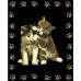 Kit carte à gratter scraper doré avec bordures : chatons  Oz International    007074